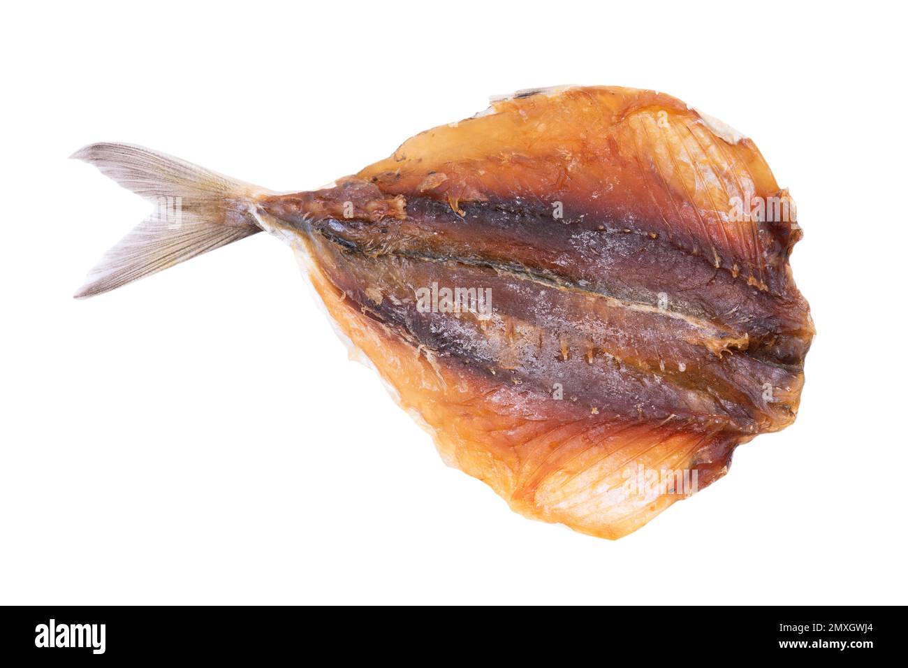Dried fish isolated on white background Stock Photo