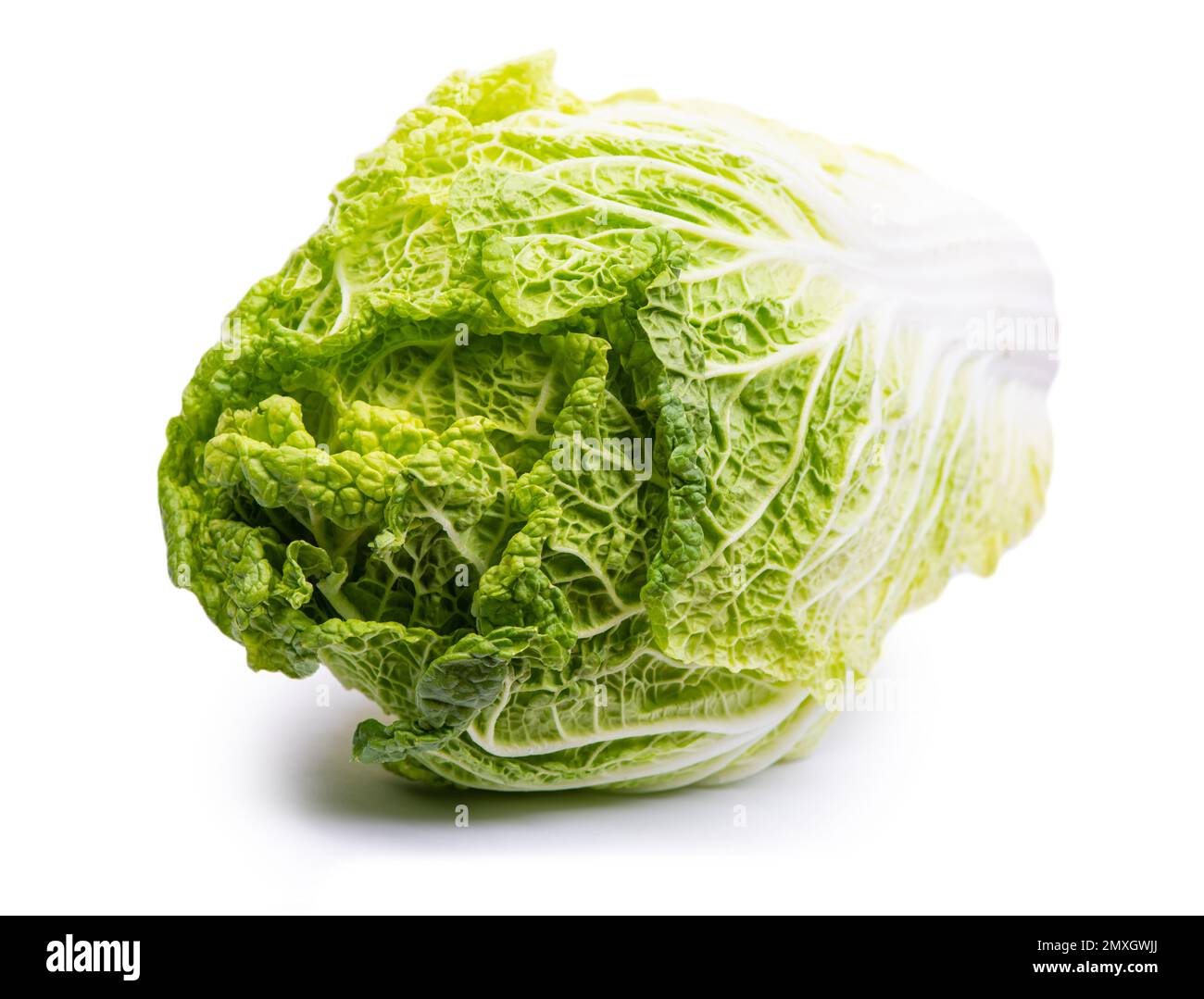 Chinese cabbage isolated on white background Stock Photo