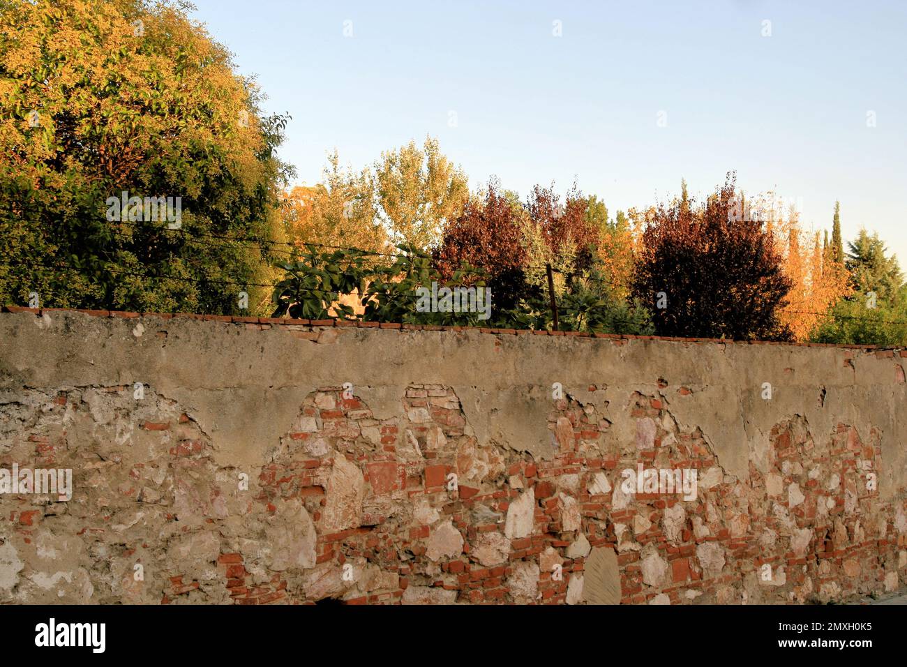 old different textured wall Stock Photo