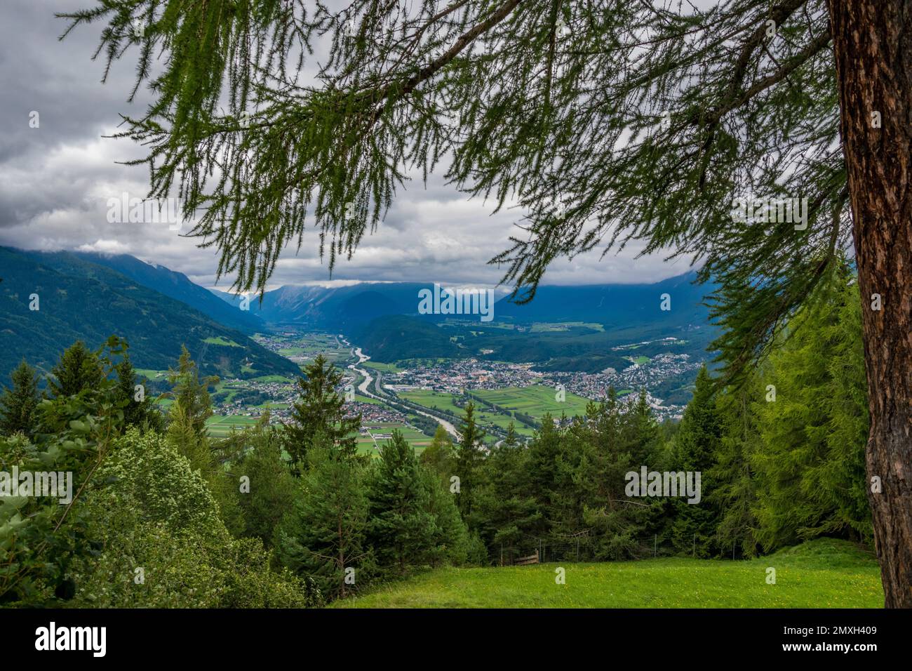 An aerial view of forest with dense trees Stock Photo - Alamy