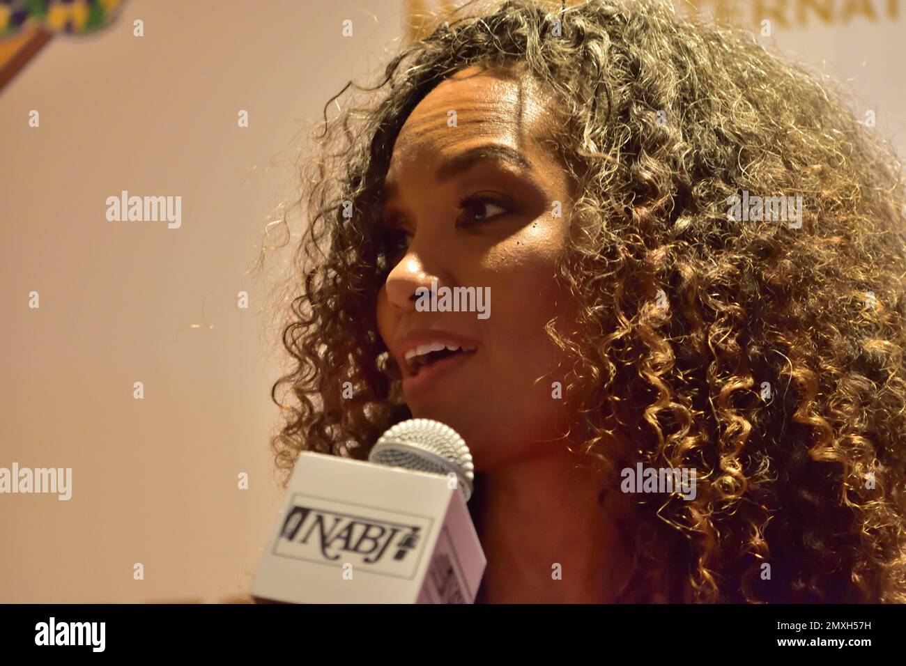 Mara Brock Akil on the red carpet promoting CW's Black Lightning at the 2017 NABJ Convention in New Orleans. Stock Photo