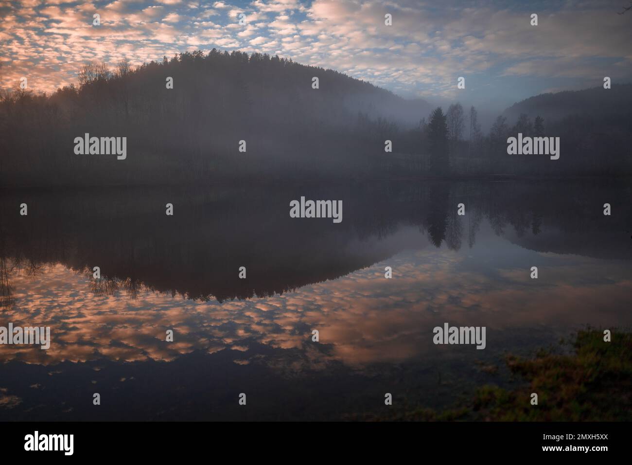 An aerial view of lake surrounded by dense trees Stock Photo - Alamy