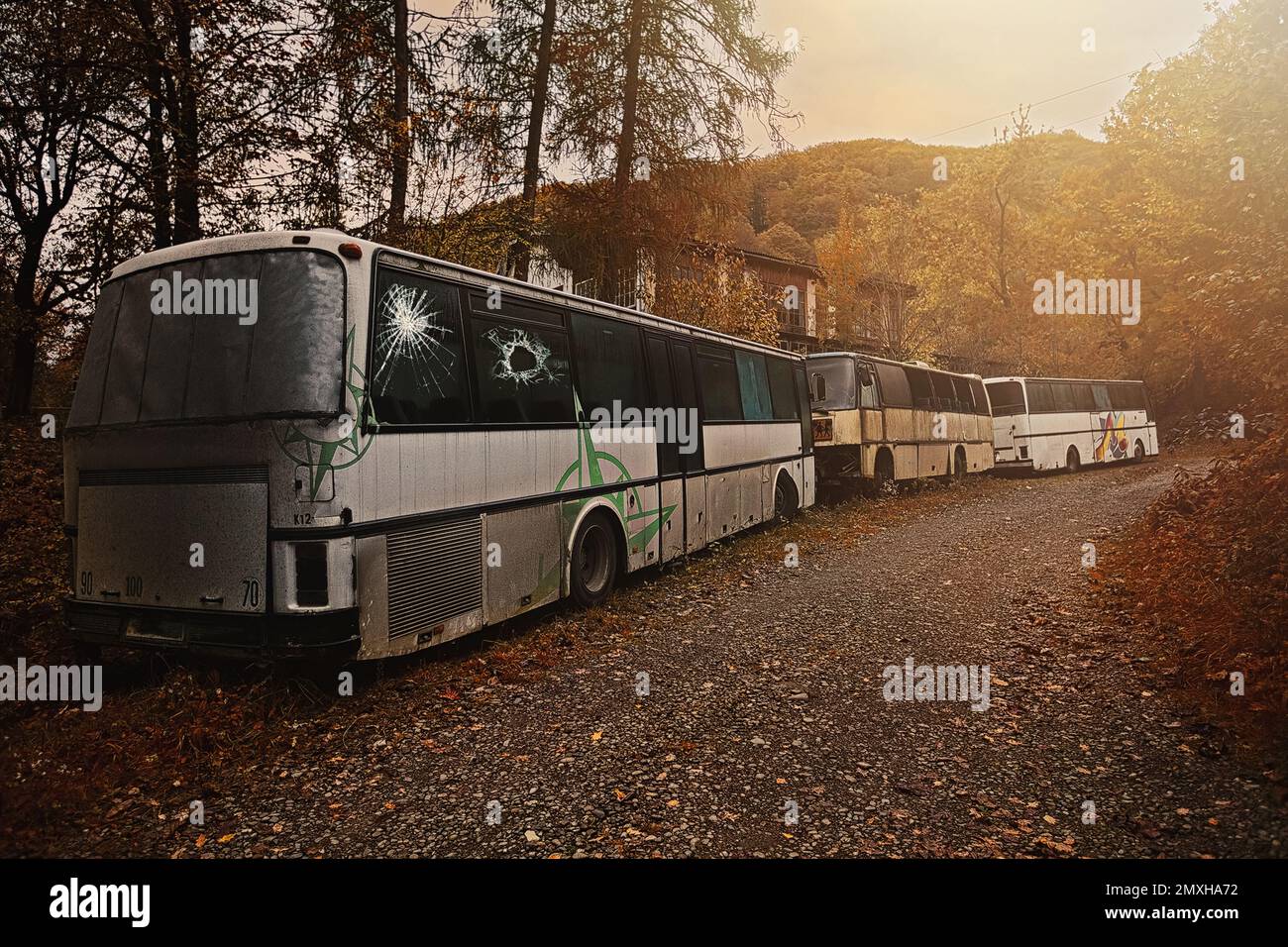 Lost place. Abandoned bus. Broken windows. Forgotten in the forest. High quality photo Stock Photo