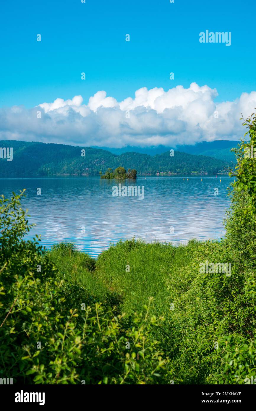 A vertical shot of a lake seen through green trees with a background of ...