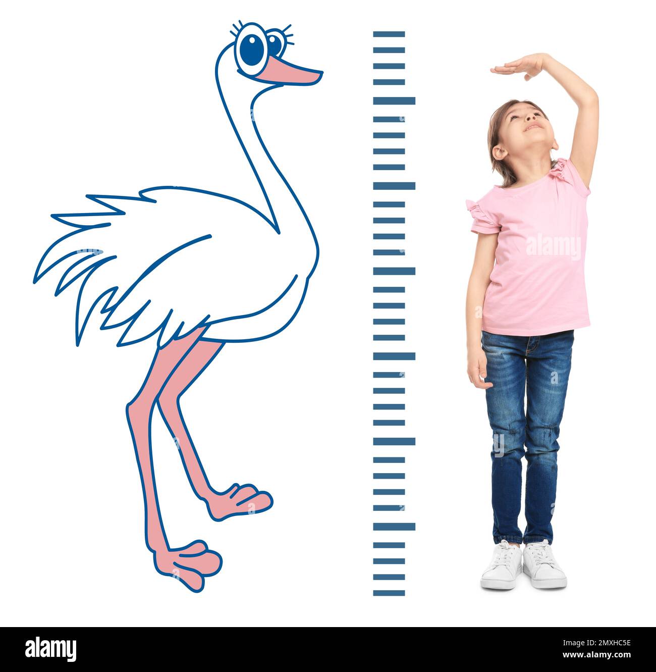 Little girl measuring height and drawing of ostrich on white background Stock Photo