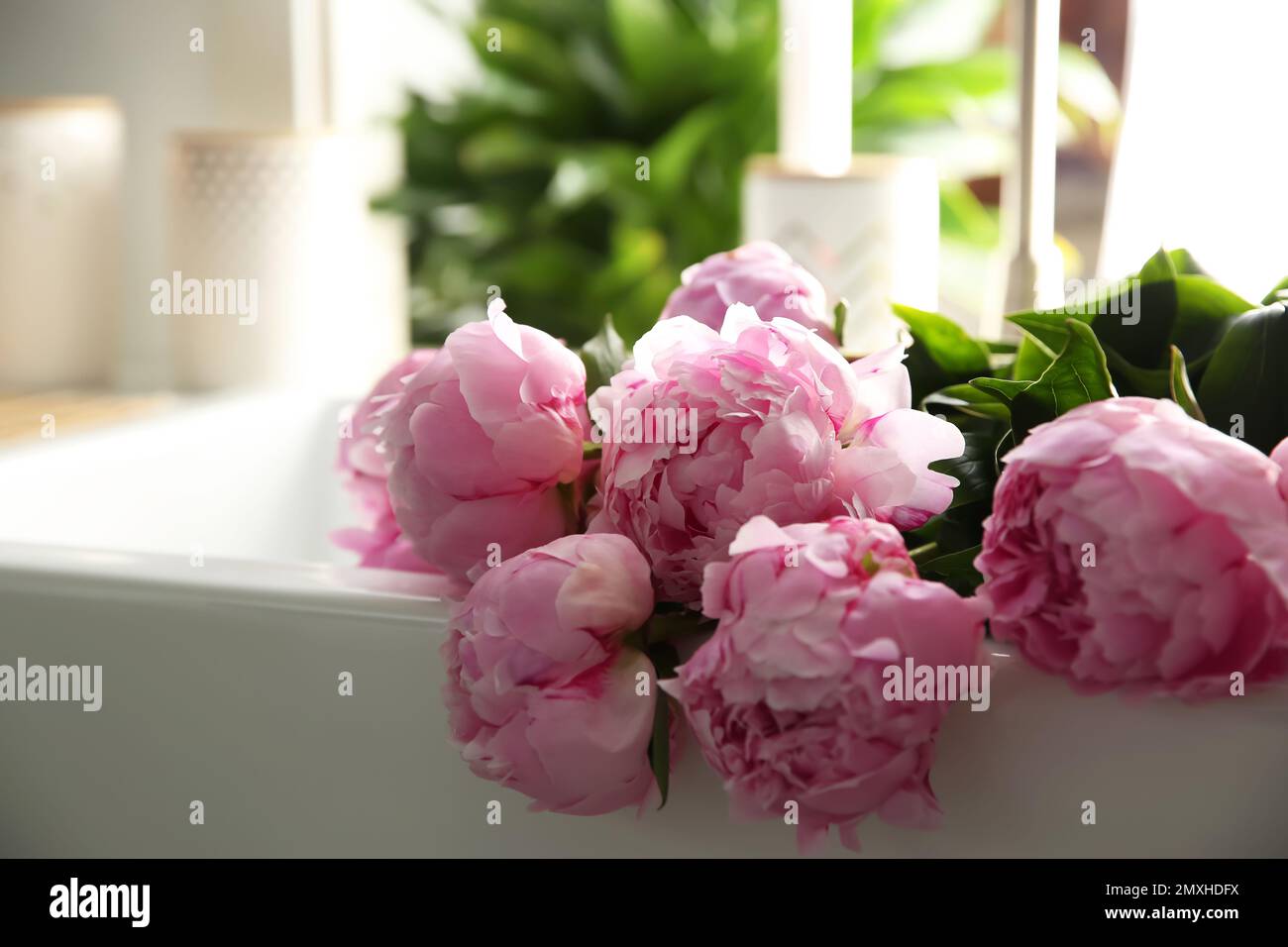 Bouquet of beautiful pink peonies in kitchen sink Stock Photo - Alamy
