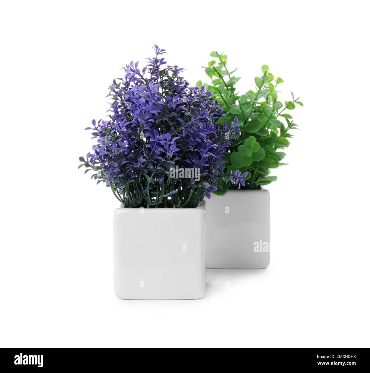 Beautiful artificial plants in flower pots isolated on white Stock Photo Alamy