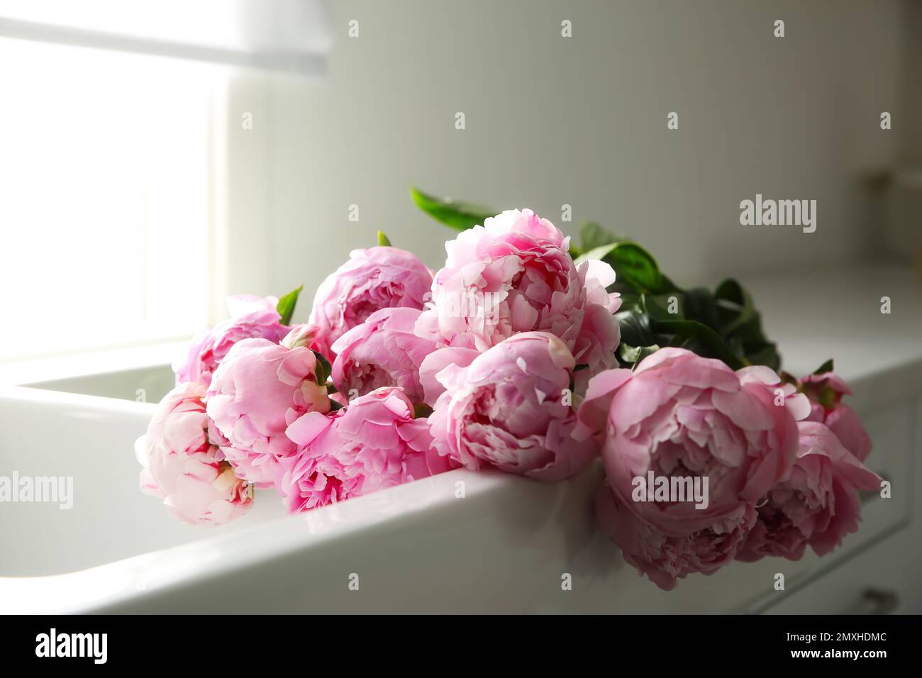 Bouquet of beautiful pink peonies in kitchen sink Stock Photo - Alamy