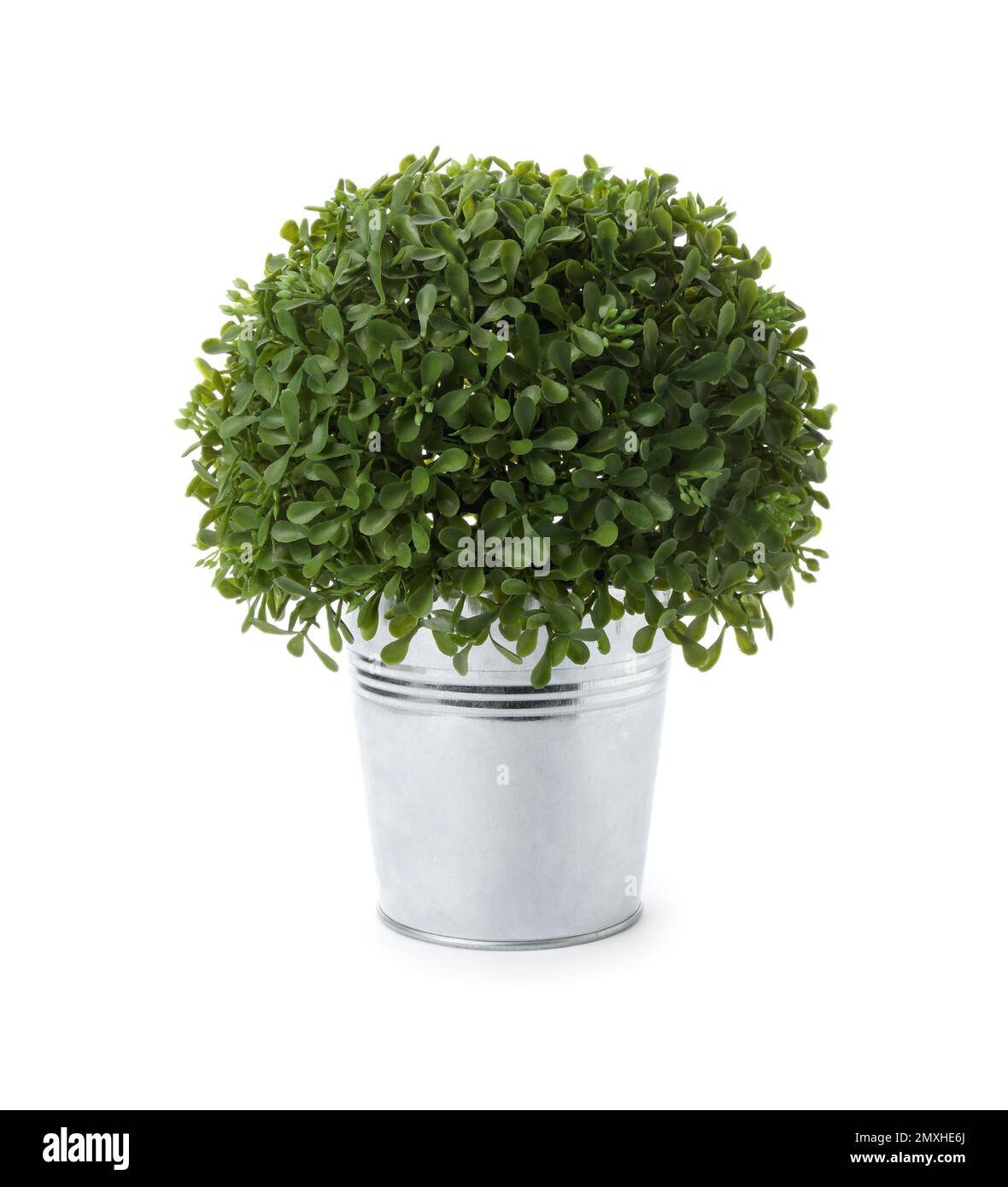 Beautiful artificial plant in flower pot isolated on white Stock Photo