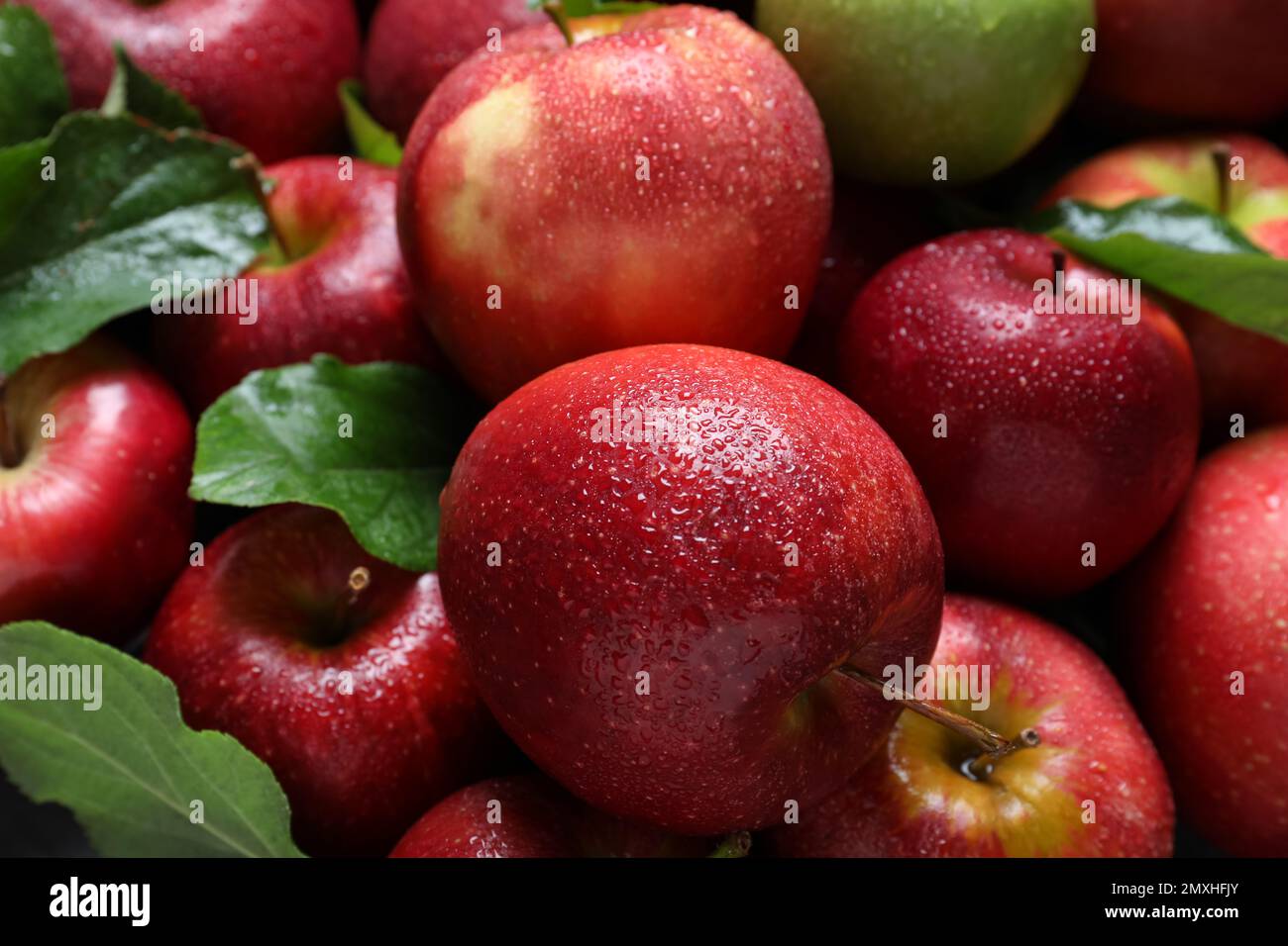 Pile of wet apples with leaves as background, closeup Stock Photo - Alamy