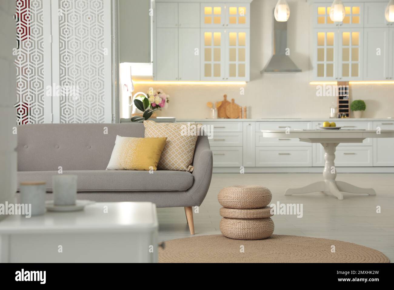 Stylish apartment interior with modern kitchen. Idea for design Stock ...