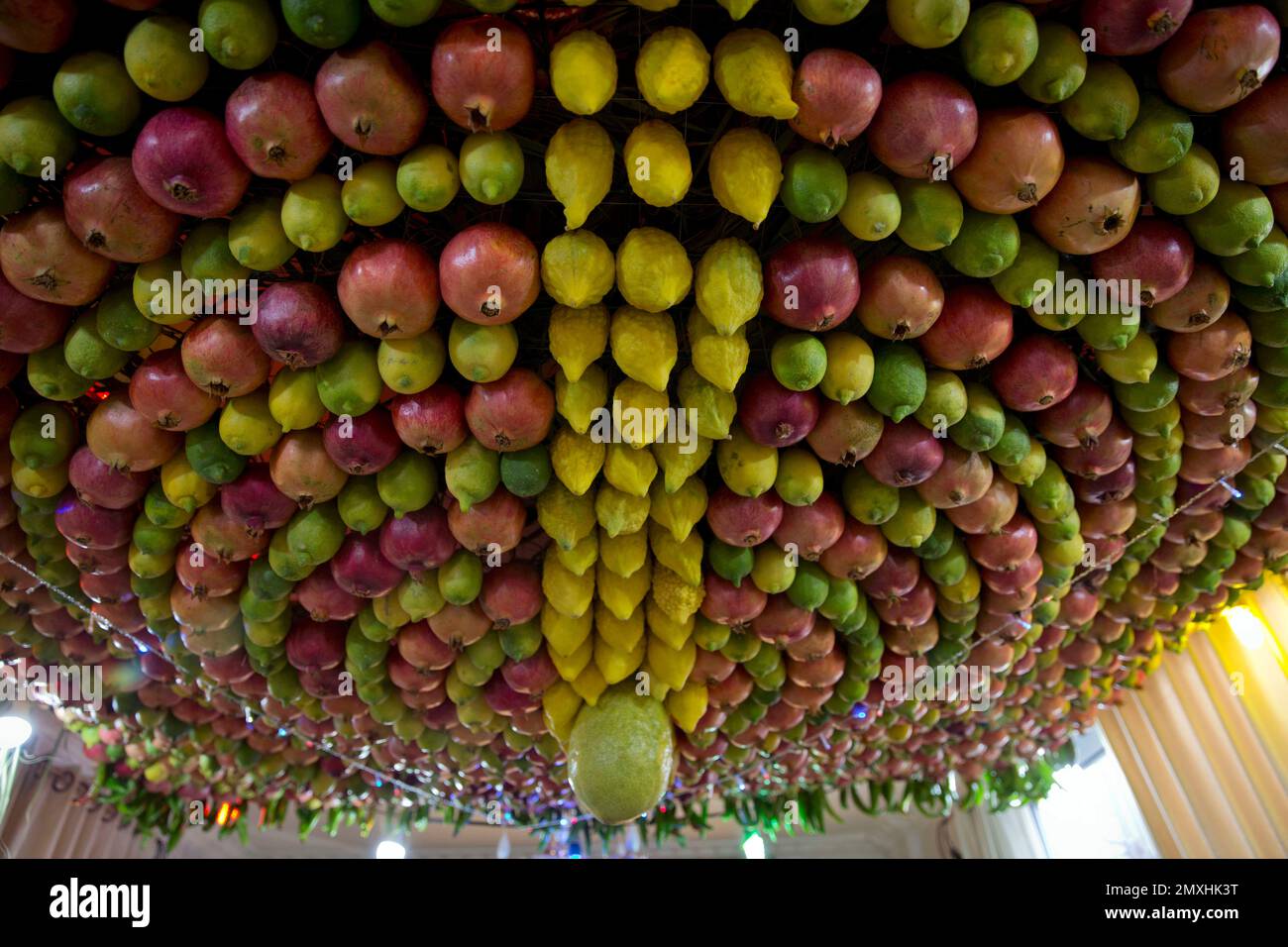 In this Sunday, Oct. 16, 2016 photo, a traditional fruit canopy is