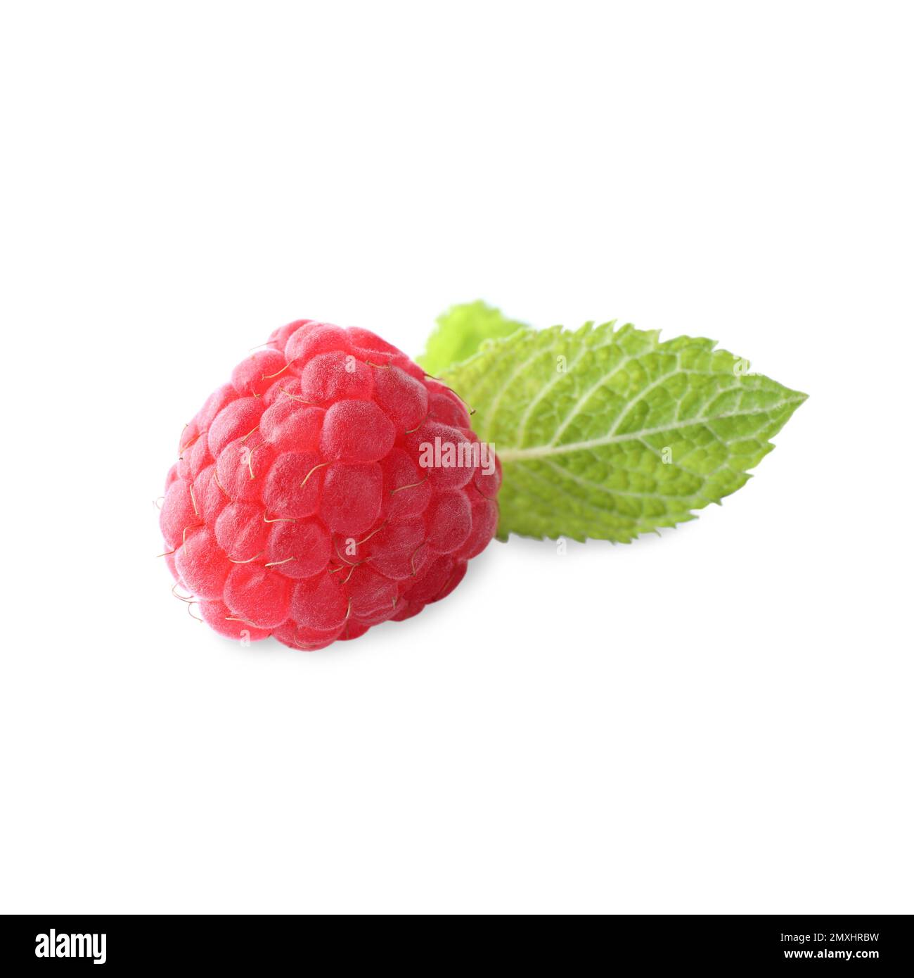 Delicious sweet ripe raspberry isolated on white Stock Photo - Alamy