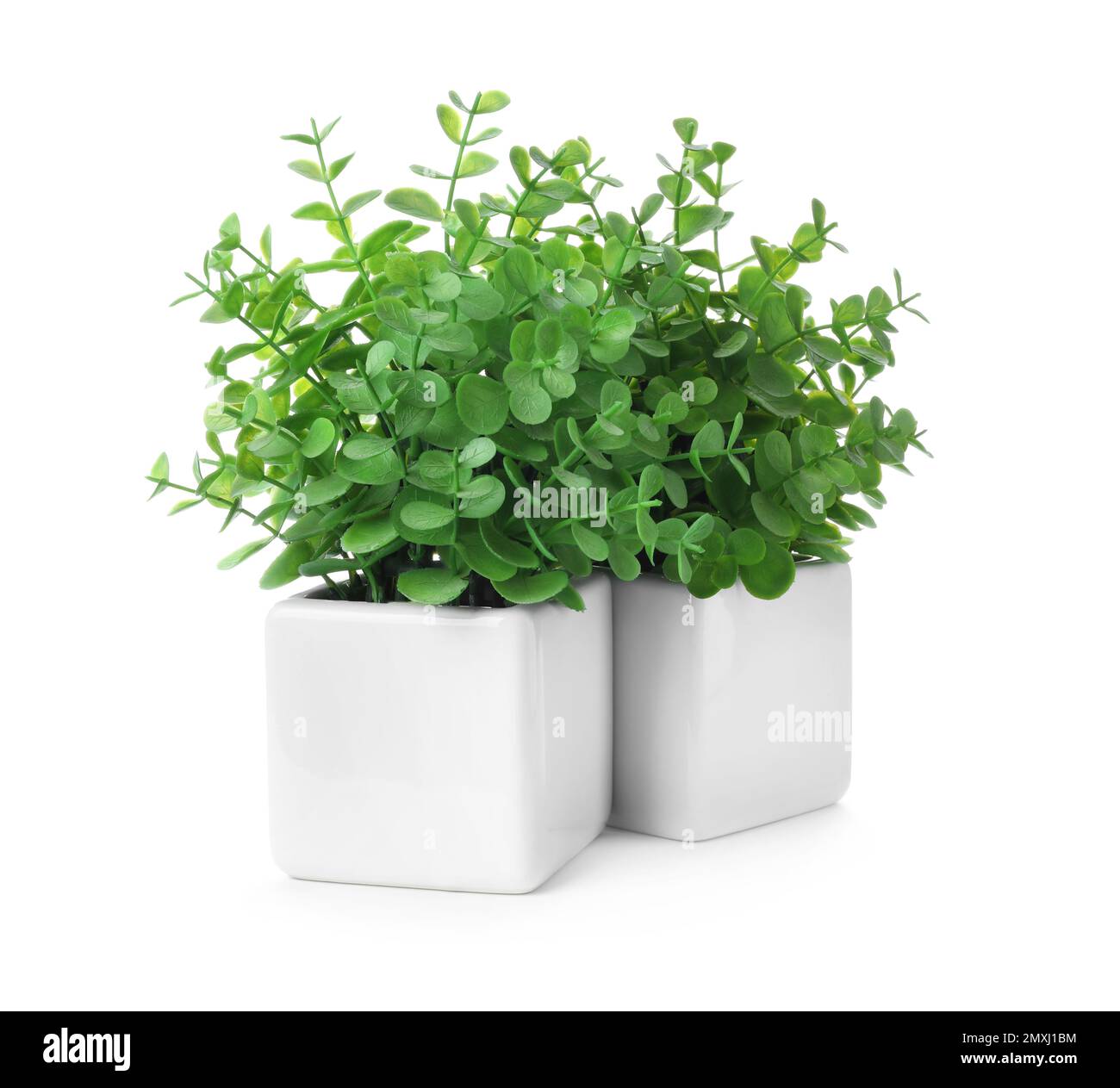 Beautiful artificial plants in flower pots isolated on white Stock