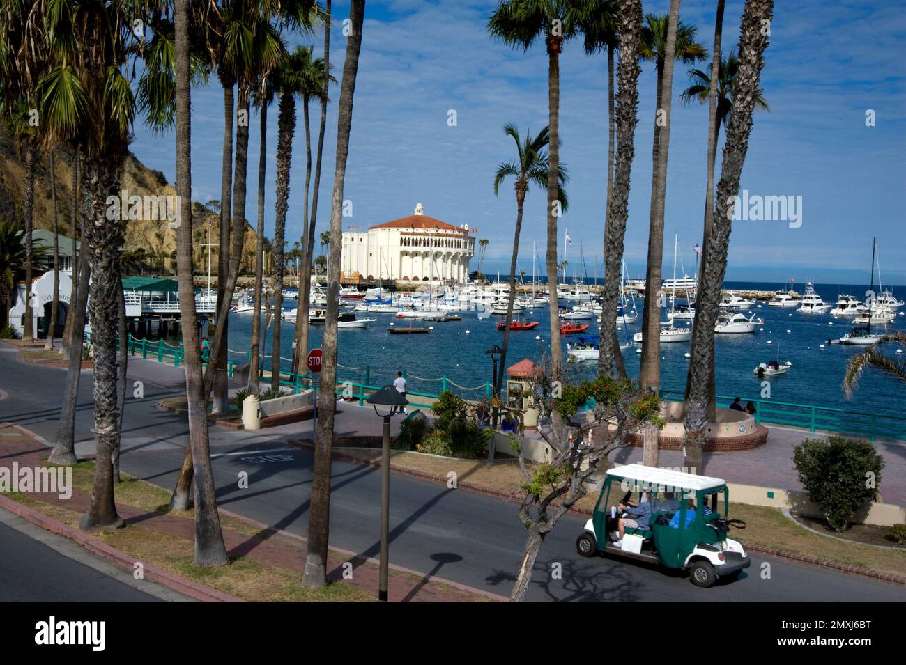 Electric vehicle transports visitors on Catalina Island wth harbor and