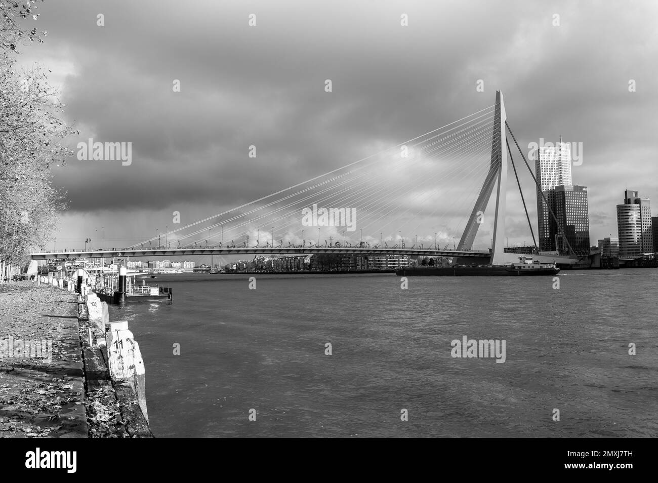 Water rotterdam Black and White Stock Photos & Images - Alamy