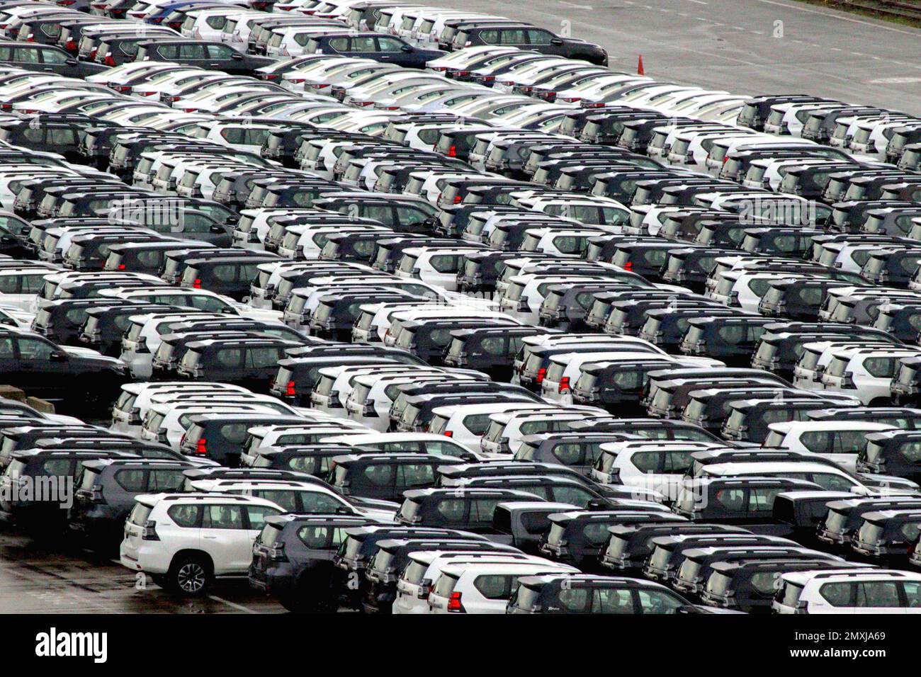 Hundreds of Toyota Land Cruiser Prado SUVs and Lexus cars wait in vehicle storage stockpiled at Zeebrugge harbour pending European distribution. Stock Photo