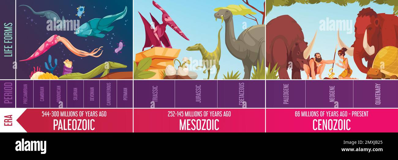 Cartoon infographics with geological scale paleozoic mesozoic and cenozoic eras periods and life forms vector illustration Stock Vector
