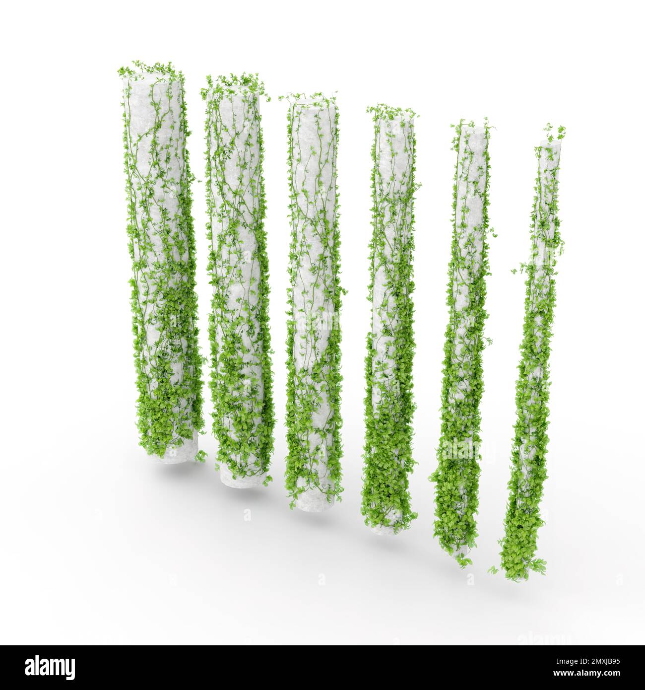 A 3D rendering of leaves around columns isolated in white background ...