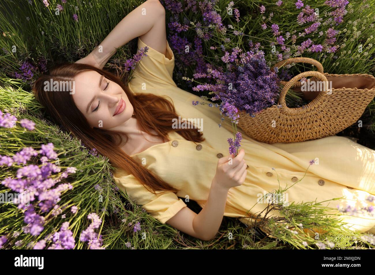 Young woman lying in lavender field on summer day Stock Photo Alamy