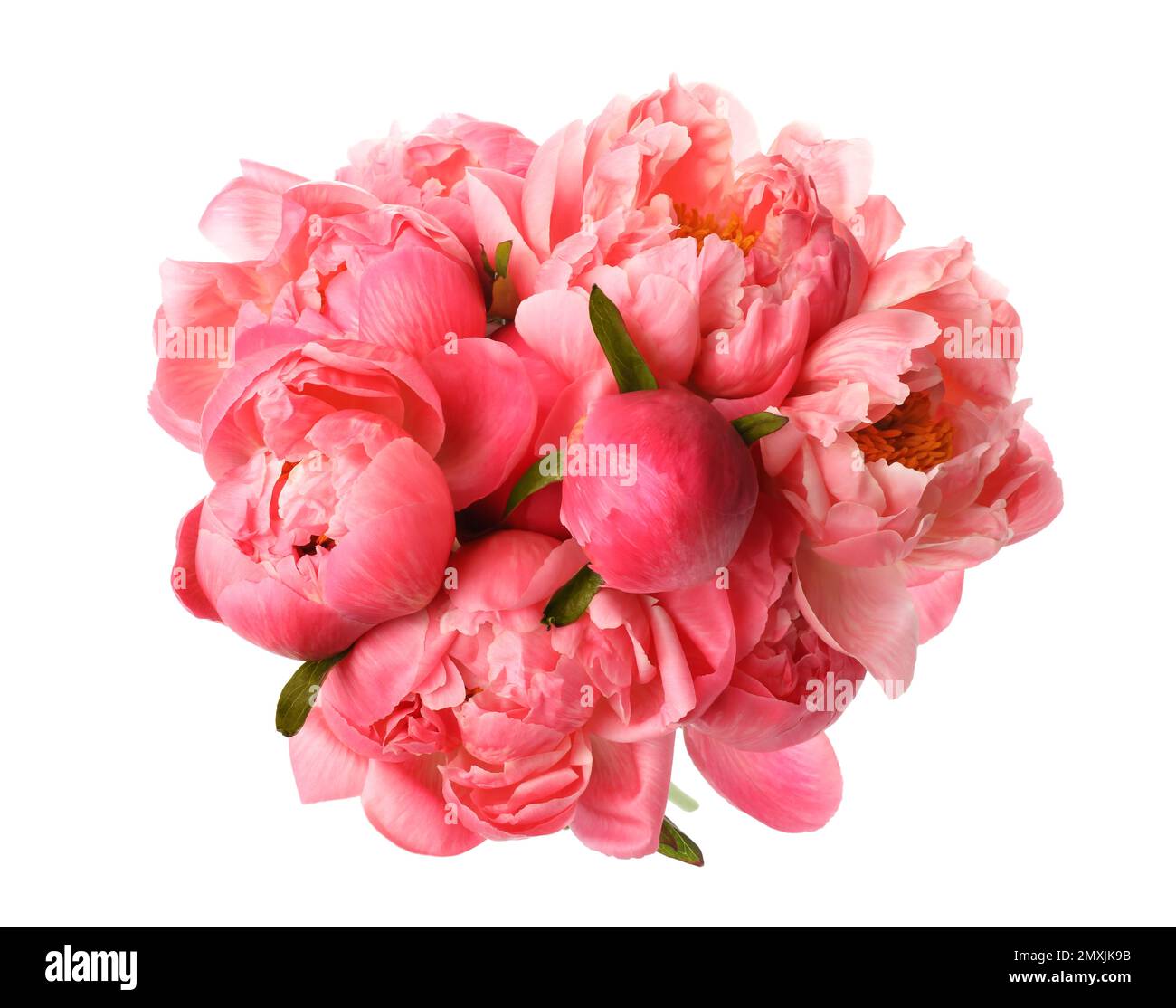 Beautiful pink peony bouquet isolated on white Stock Photo - Alamy