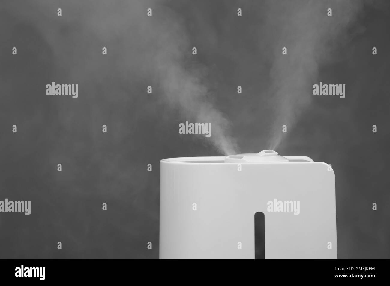 Modern air humidifier on grey background, closeup. Space for text Stock Photo