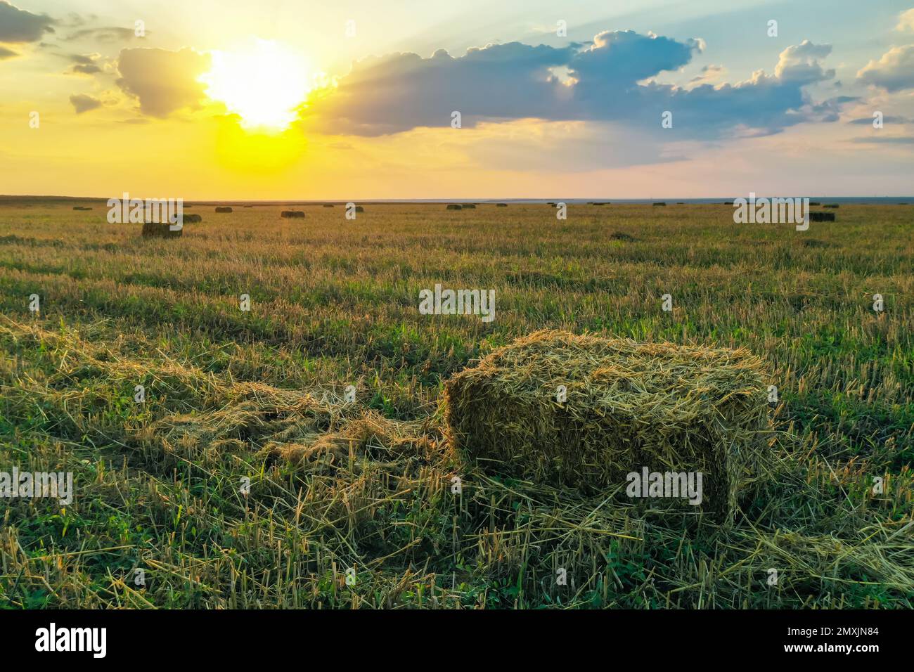 Hay block hi-res stock photography and images - Alamy