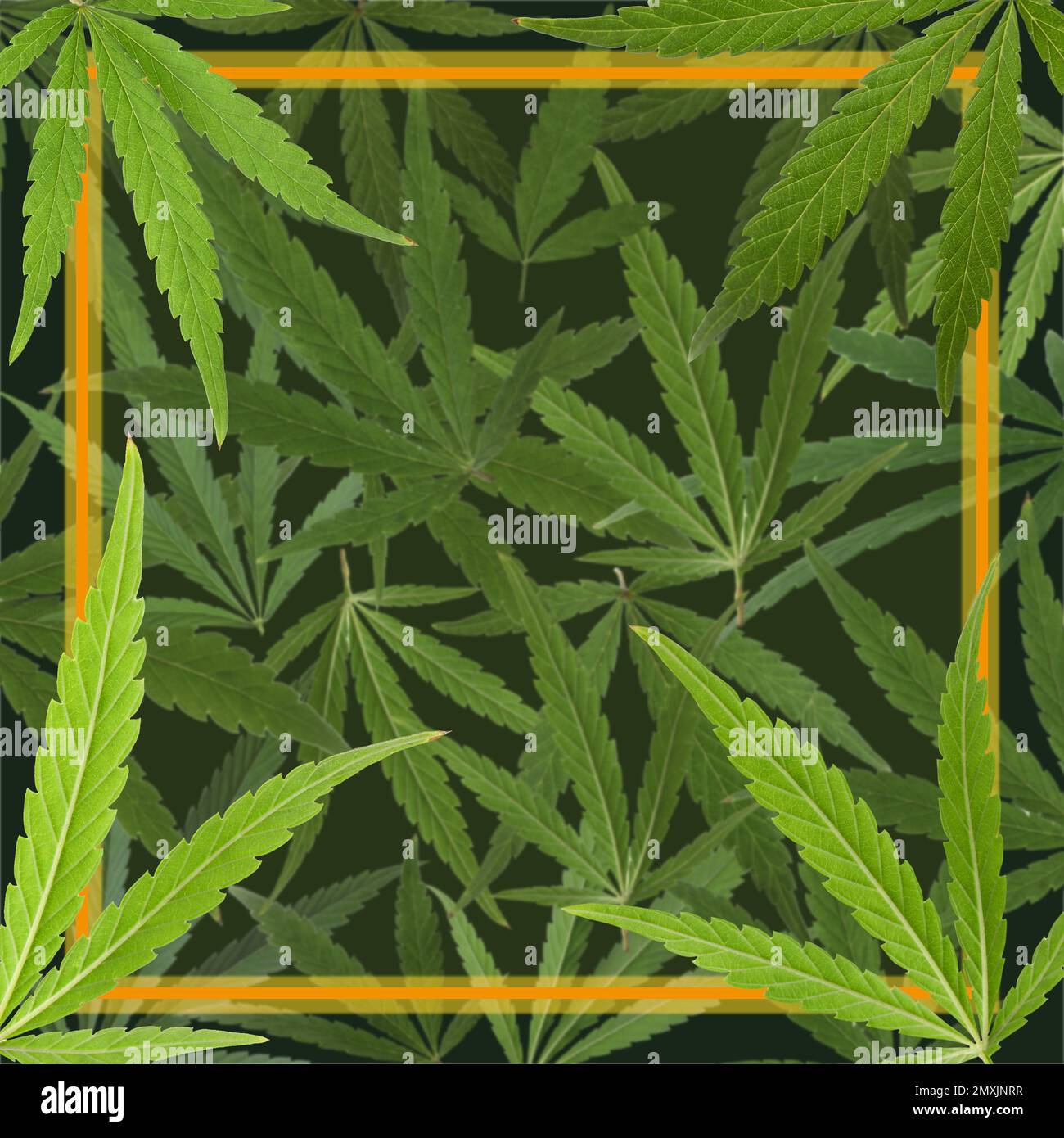 Marijuana frame border hi-res stock photography and images - Alamy