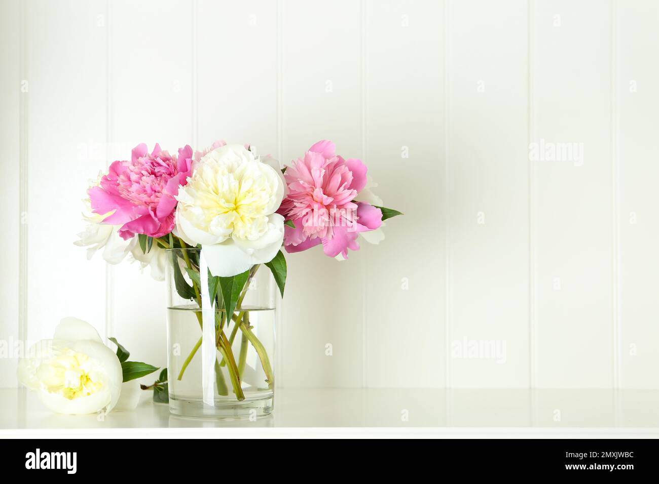 Bouquet of beautiful peonies in vase on white table. Space for text ...