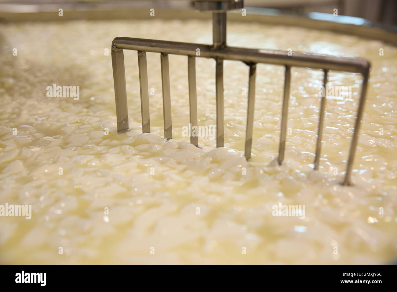 Curd and whey in tank at cheese factory, closeup Stock Photo Alamy