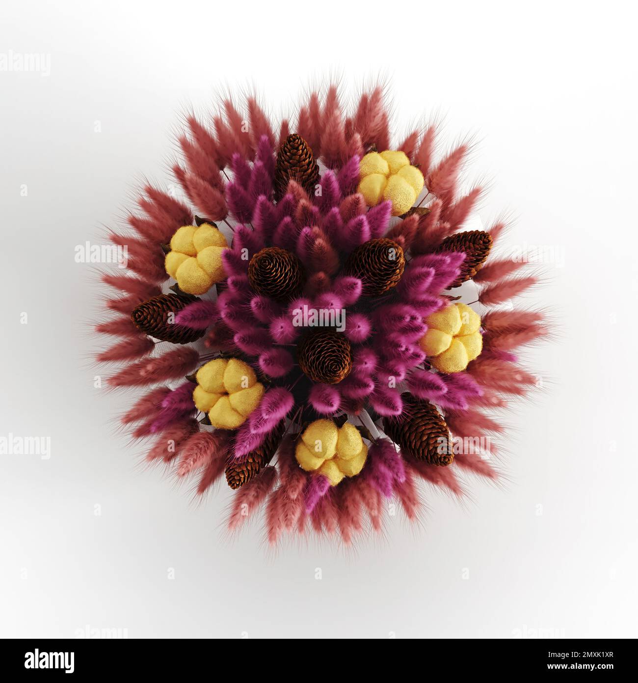 A top view of a bouquet isolated on white background Stock Photo - Alamy