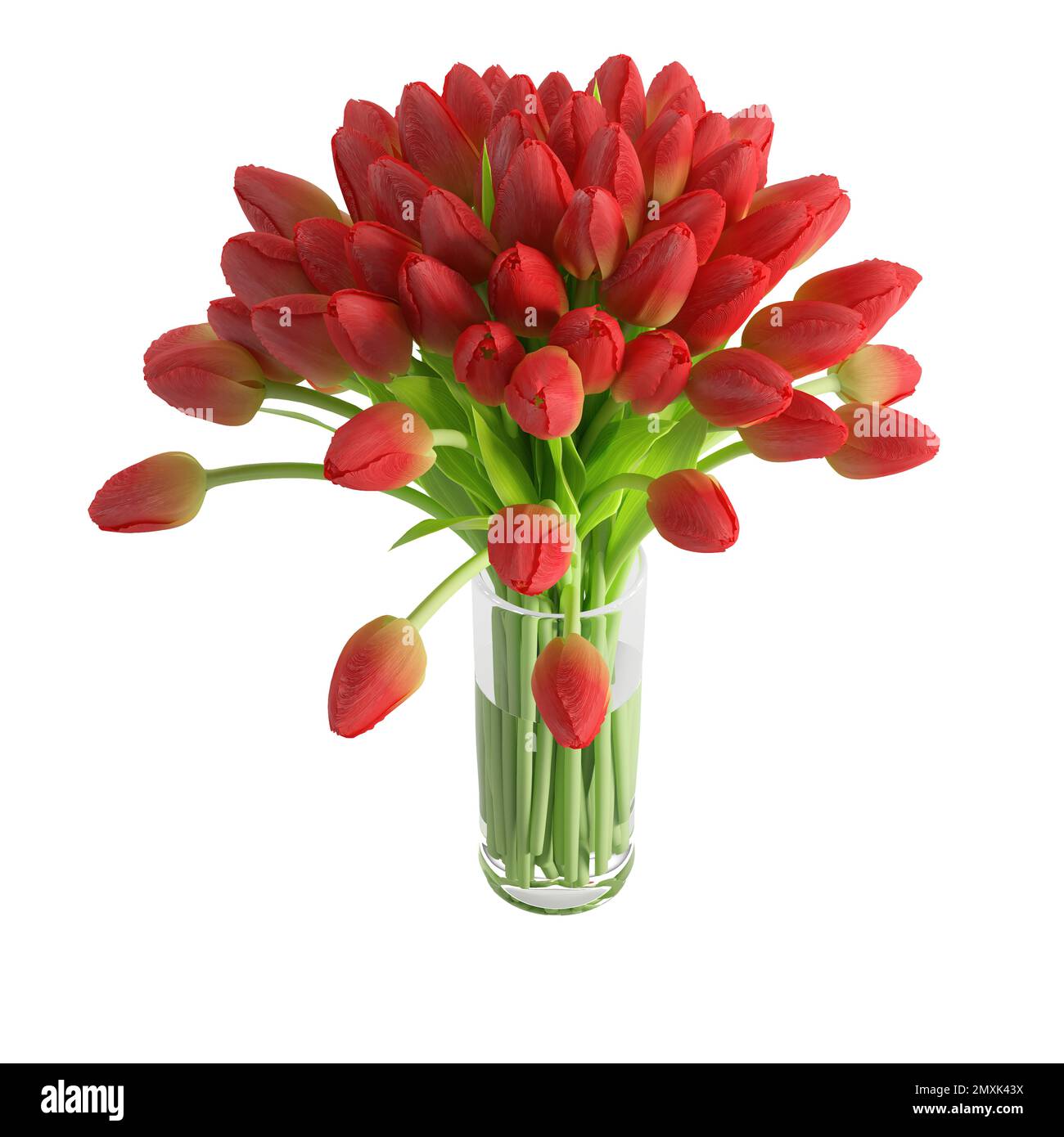 A 3D rendering of red tulips in a glass vase isolated on a white ...