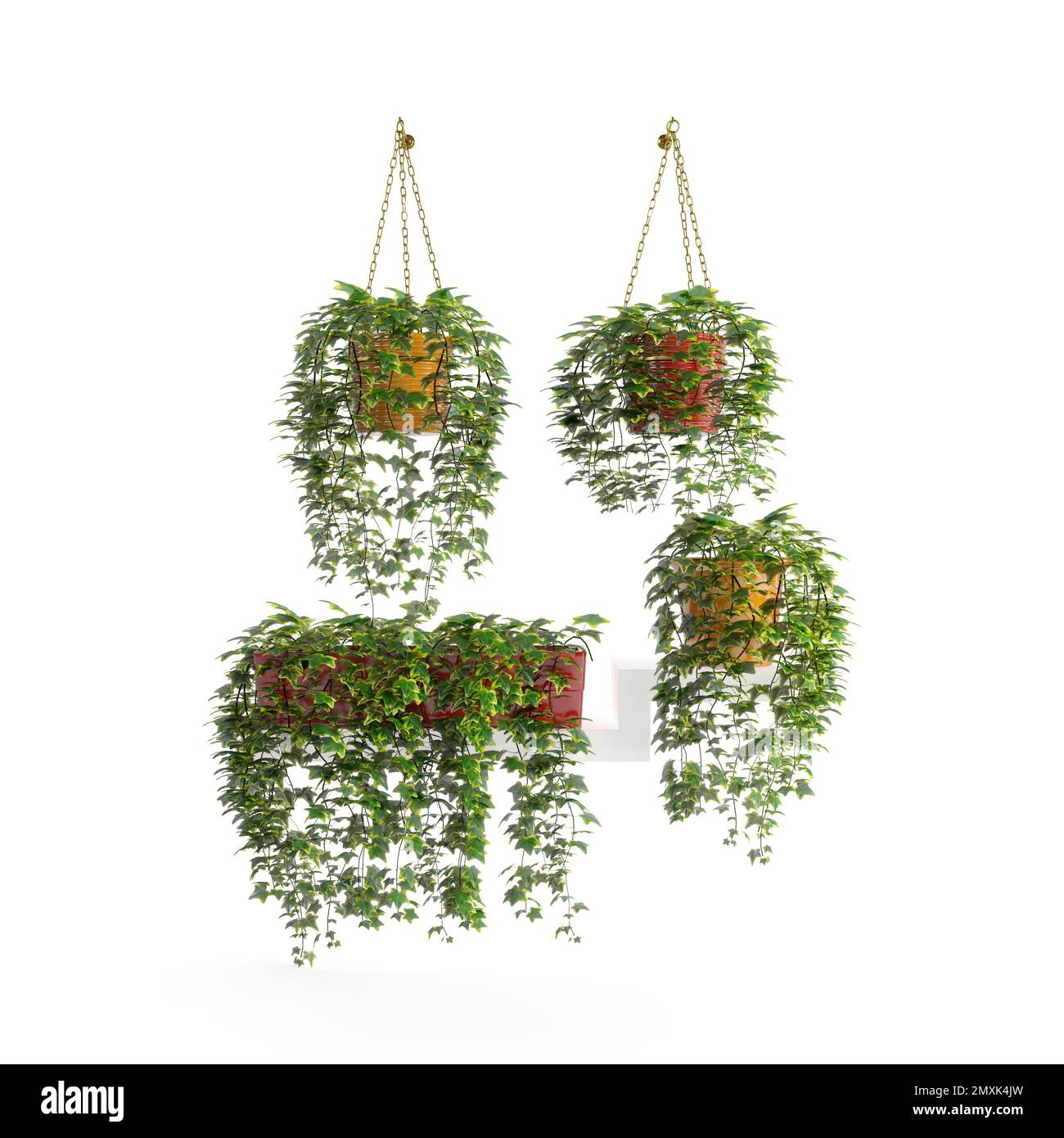 A 3D rendering of wall-hanging plants isolated on a white background Stock  Photo - Alamy
