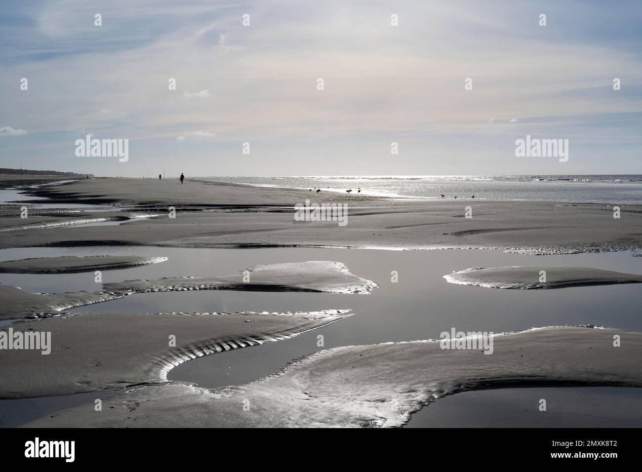 Walkers on the beach at low tide with tide pools, Juist Island, Lower Saxony Wadden Sea, North Sea, East Frisia, Lower Saxony, Germany, Europe Stock Photo
