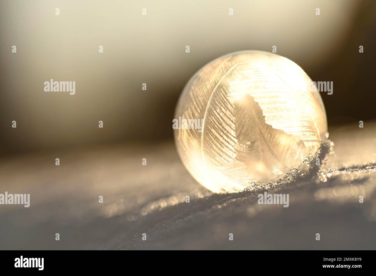 Frozen soap bubble in snow, backlight, Herten, Germany, Europe Stock Photo