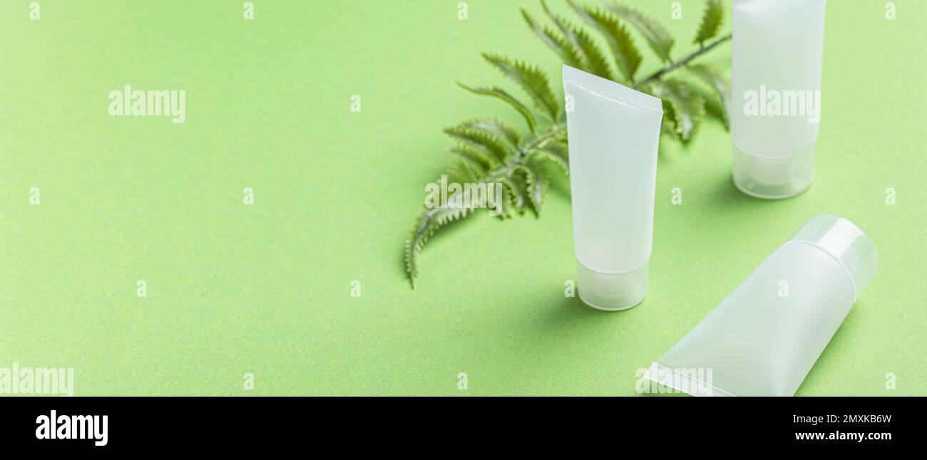 Set of skincare organic beauty product bottles and SPA natural cosmetic blank white matte containers with plant fern leaves on green clean background Stock Photo