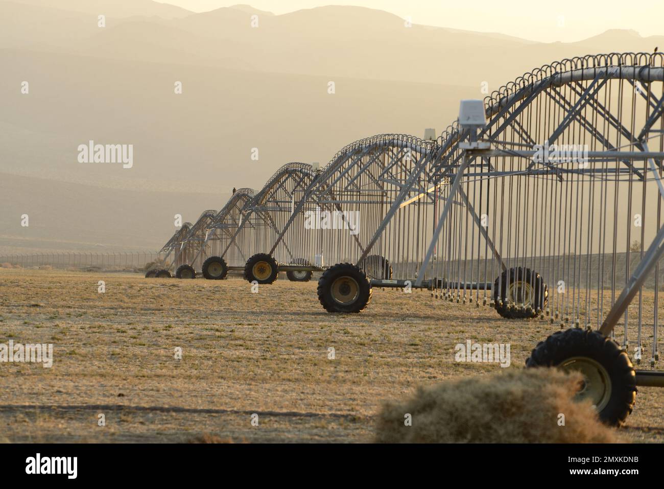 Irrigation sprinklers on farmland, California Stock Photo