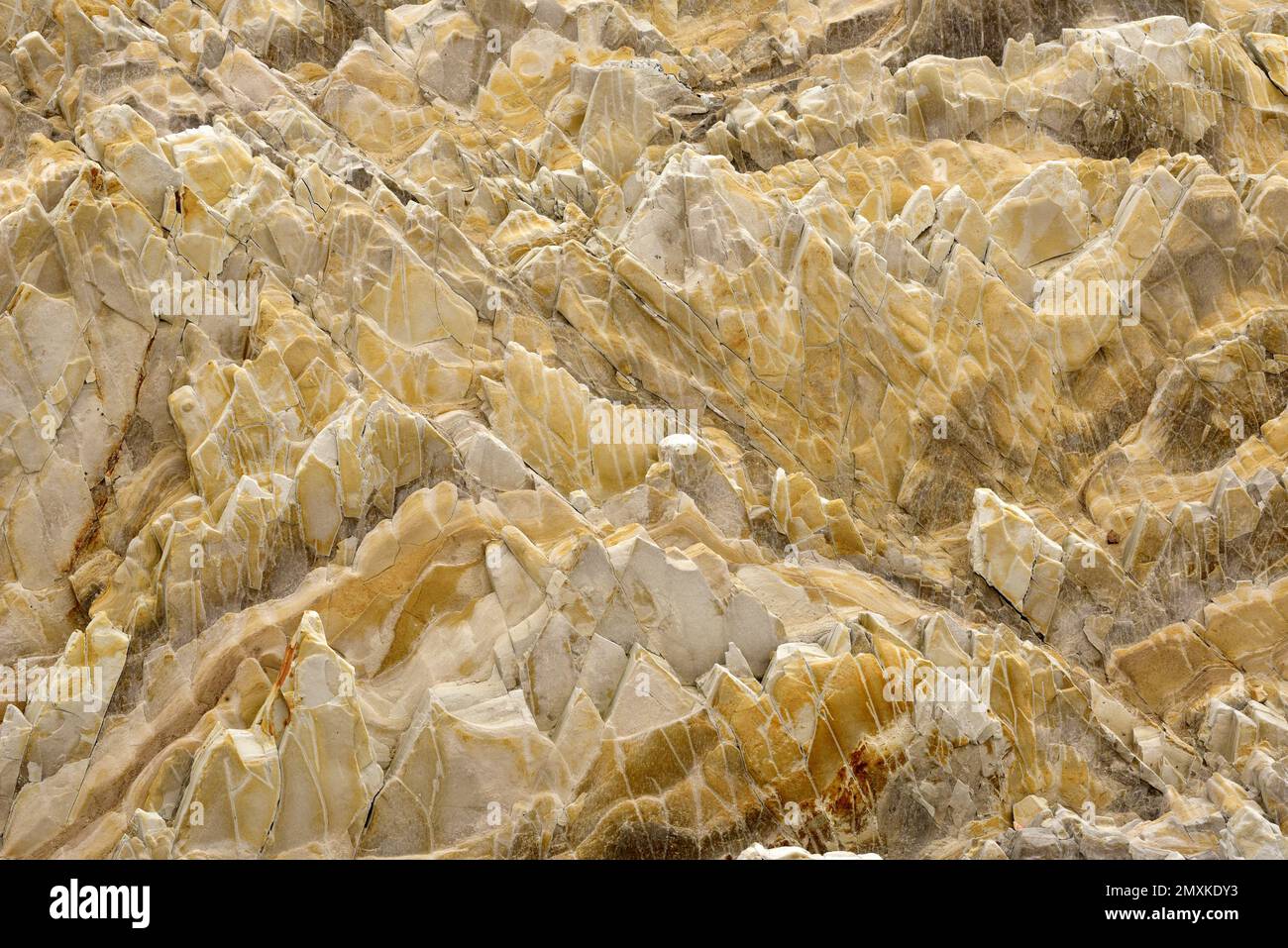 Abstract sandstone rock patterns, Montana de Oro State Park Stock Photo