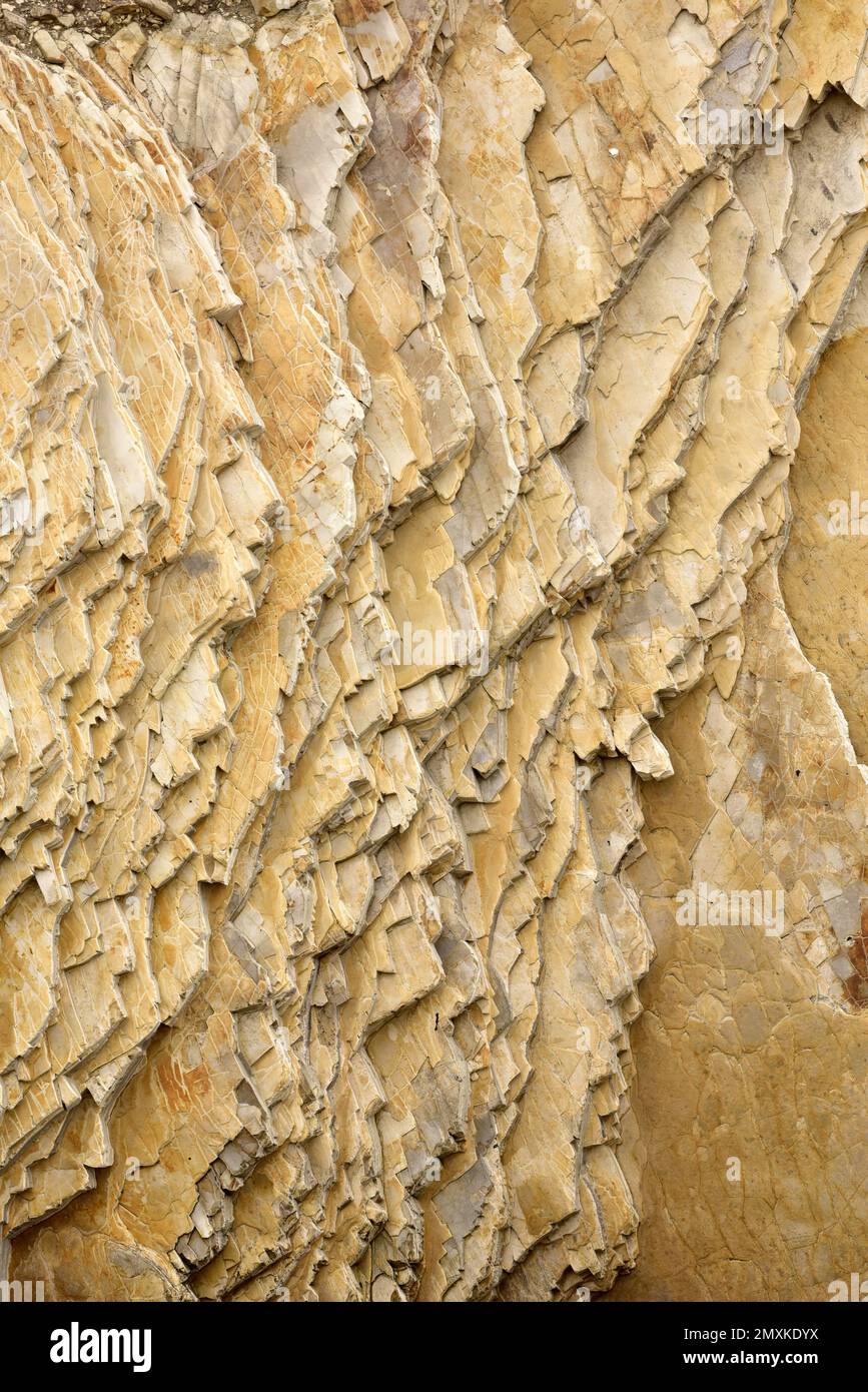 Abstract sandstone rock patterns, Montana de Oro State Park Stock Photo