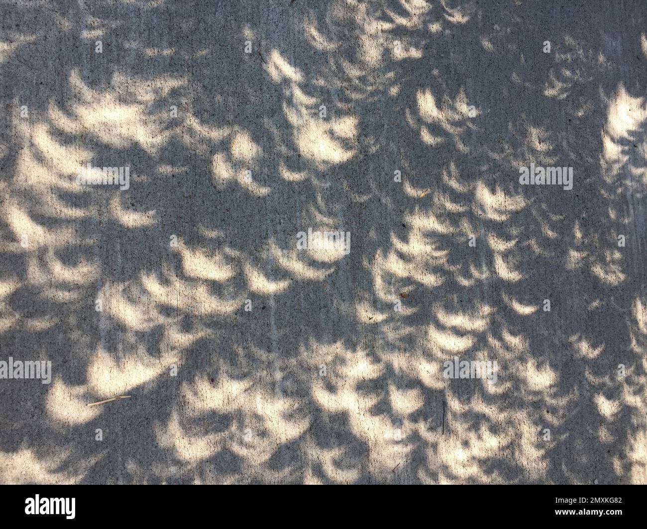 Tree shadows from the sun hi-res stock photography and images - Alamy