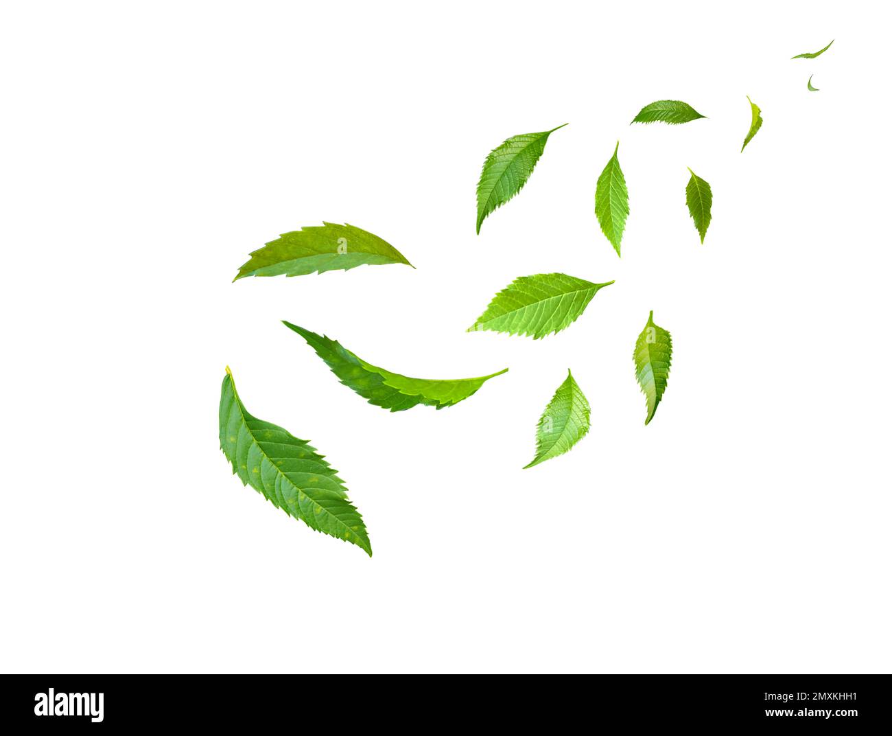 Green Floating Leaves Flying Leaves Green Leaf Dancing, Air Purifier Atmosphere Simple Main Picture Stock Photo