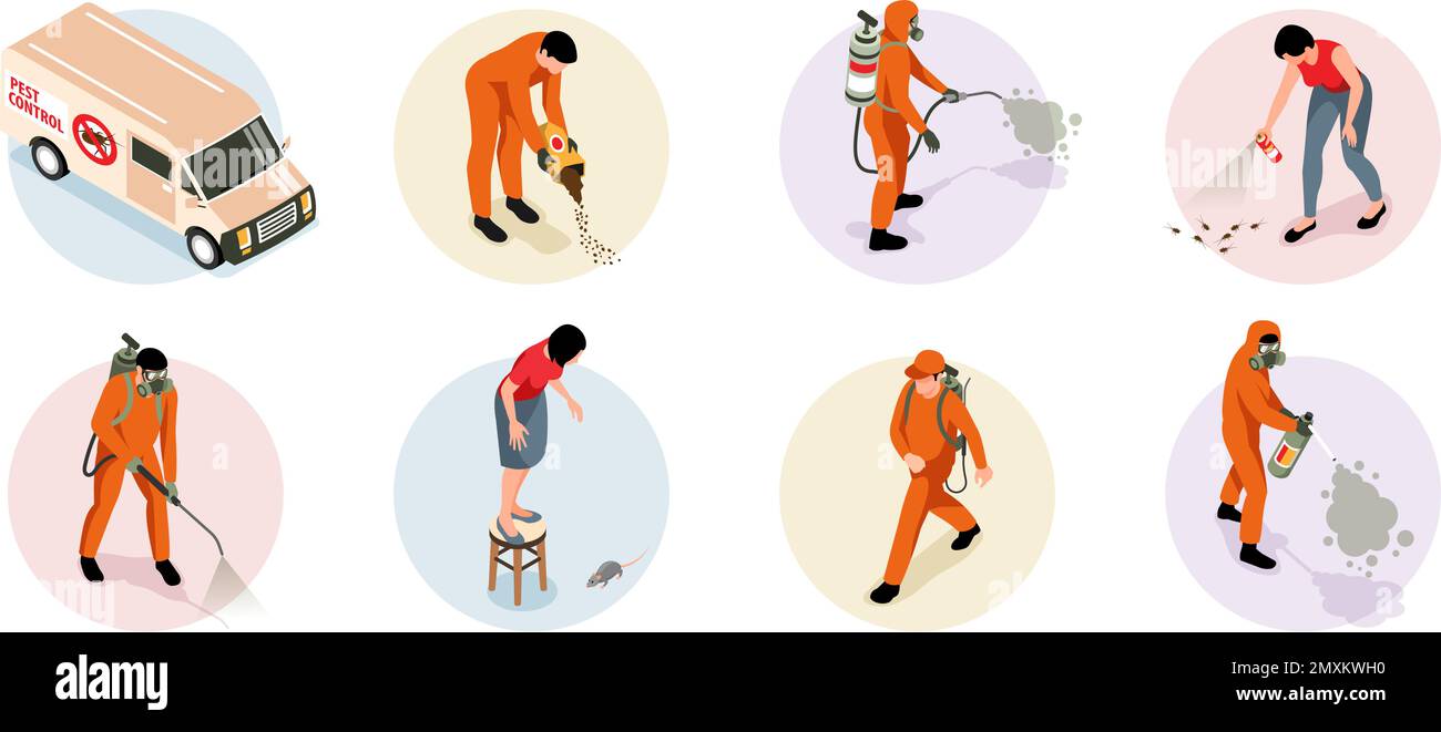 Pest control service compositions set of professional workers in uniform exterminating insects and rodents isolated isometric 3d vector illustration Stock Vector
