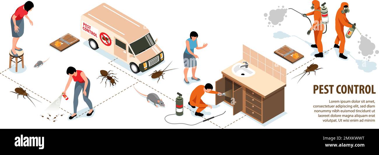 Isometric pest control service house disinfection infographics with workers insects and rodents 3d vector illustration Stock Vector