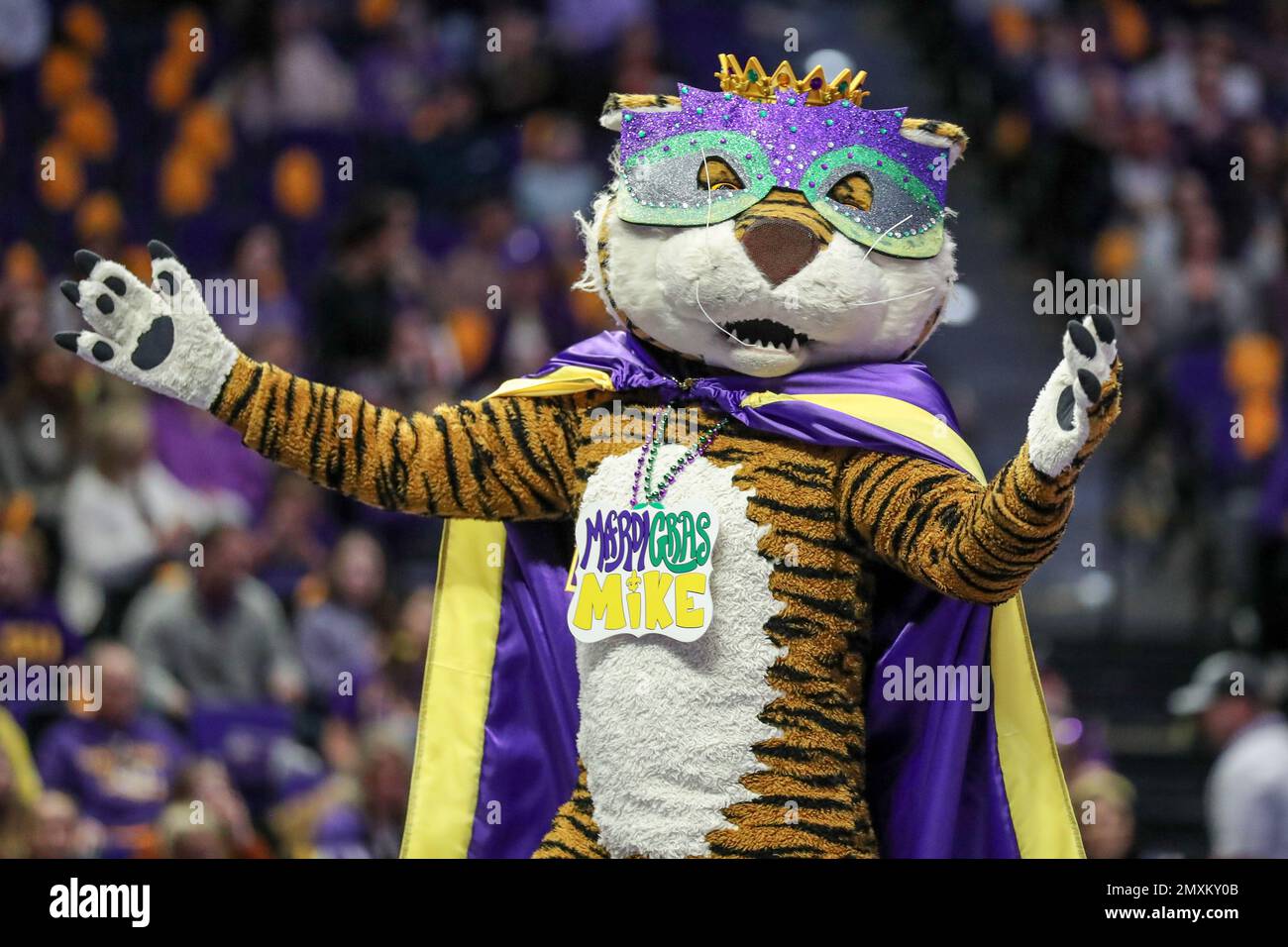 Lsu Tigers Mike The Tiger Champions 2023 Men's Baseball And Women's  Basketball It's A Lsu Thing