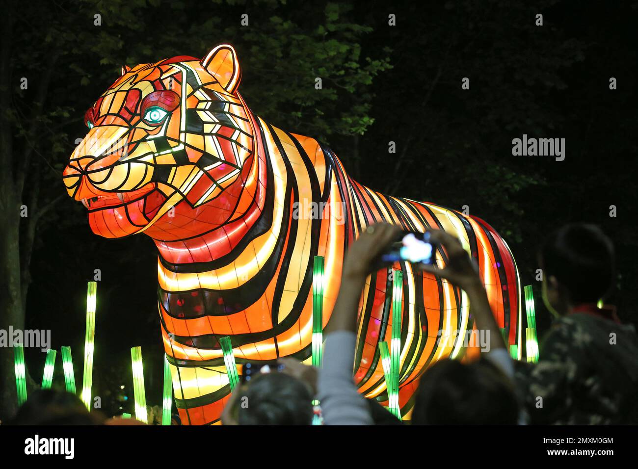 A giant Sumantran tiger light sculpture is paraded through Sydney