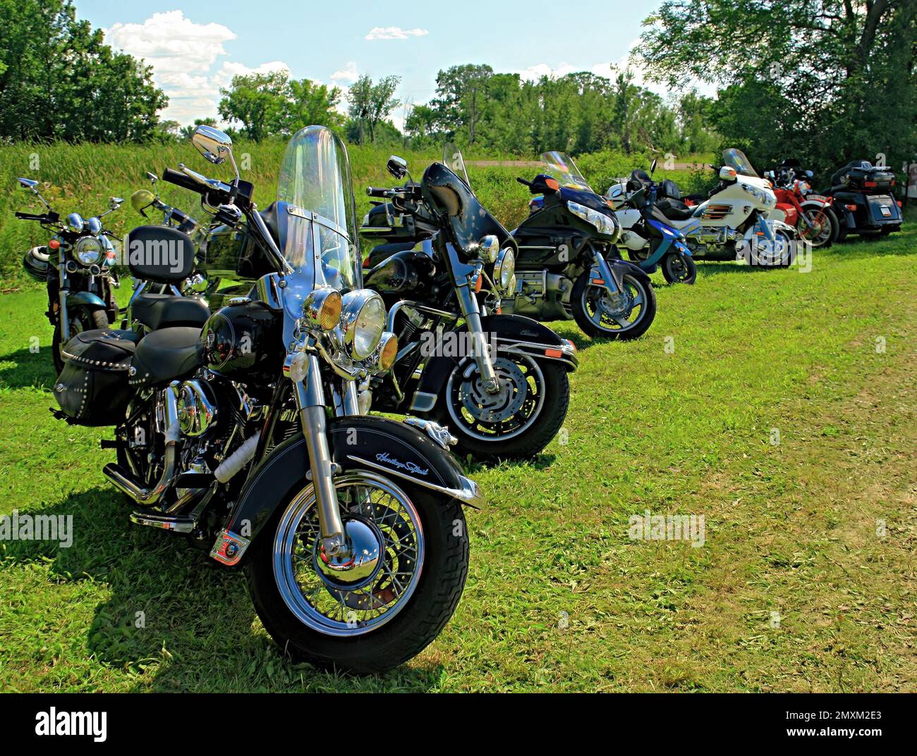Long row of motorcycles in a grassy parking lot on a summer day at a