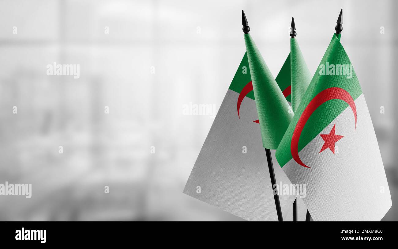 Small flags of the Algeria on an abstract blurry background. Stock Photo