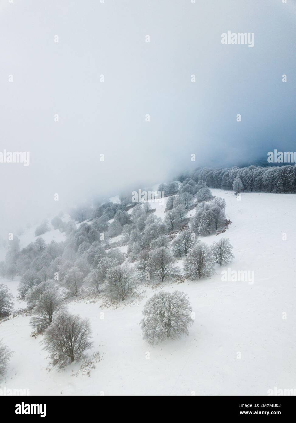 Winter landscape with snow covered trees in the mountains. Wonderful foggy scene from above. Stock Photo