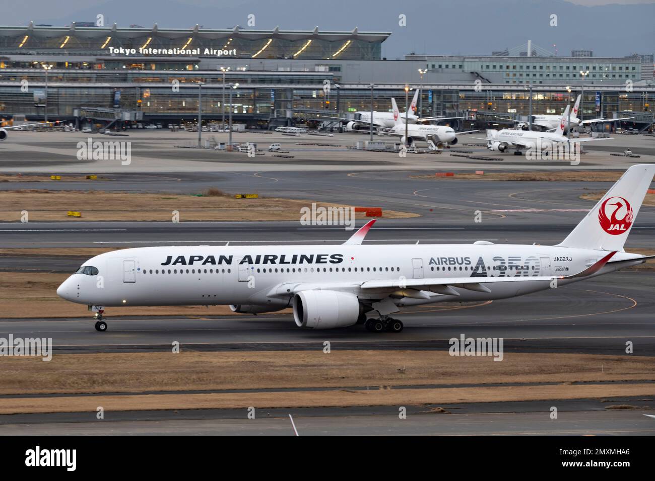 Japan Airlines JAL A350-900 脂っこく oneWorld Japan Airlines JAL A350-900 脂っこく oneWorld