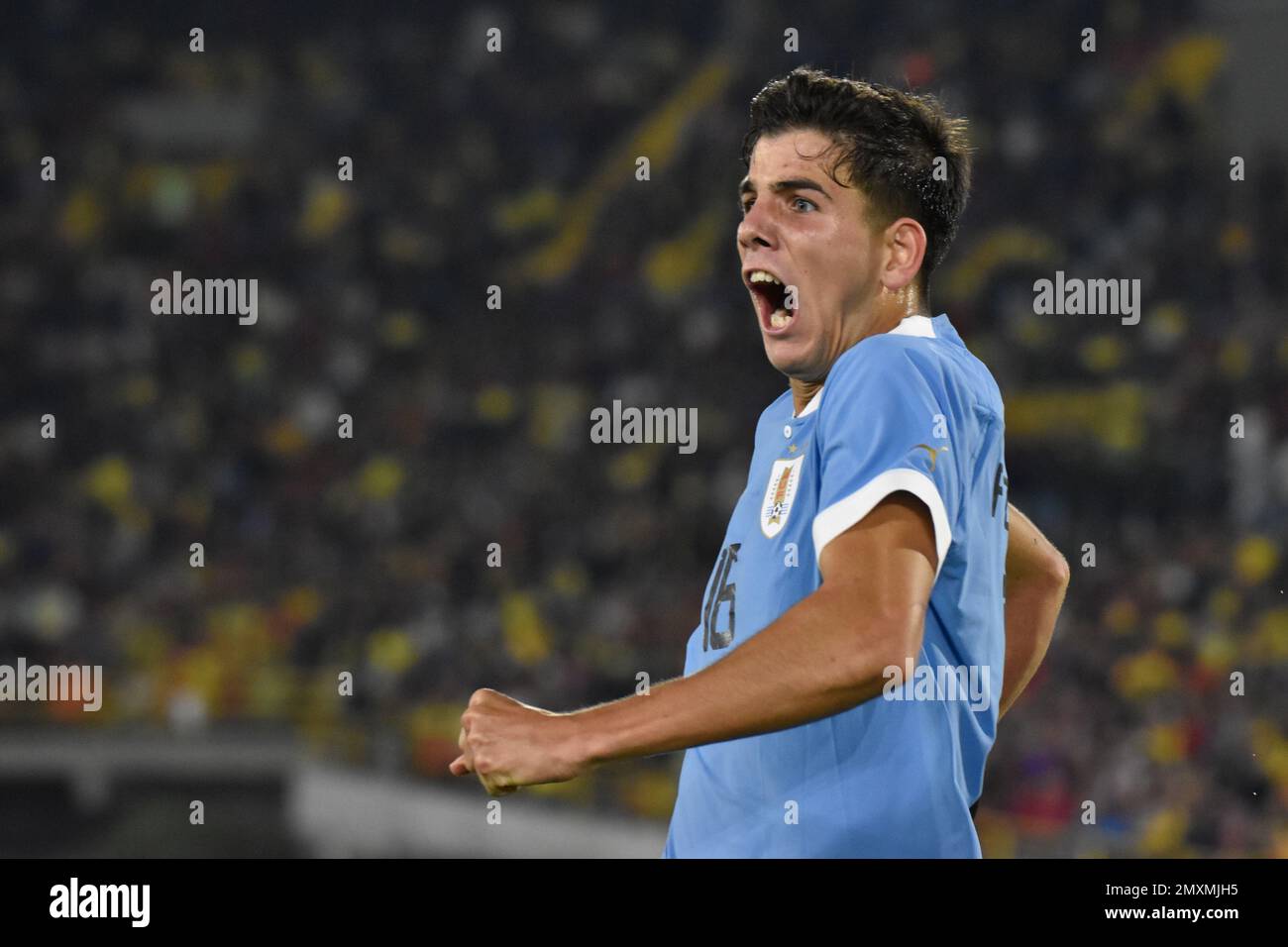 Uruguay's Facu Gonzalez celebrates scoring a goal during the CONMEBOL South American Tournament match between Colombia Vs Uruguay, in Bogota, Colombia on January 31, 2023. Photo by: Cristian Bayona/Long Visual Press Stock Photo
